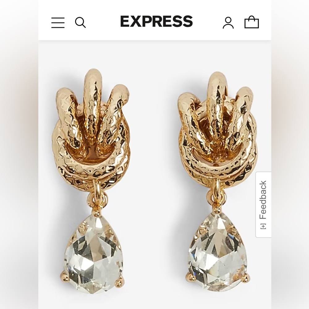 Express earrings